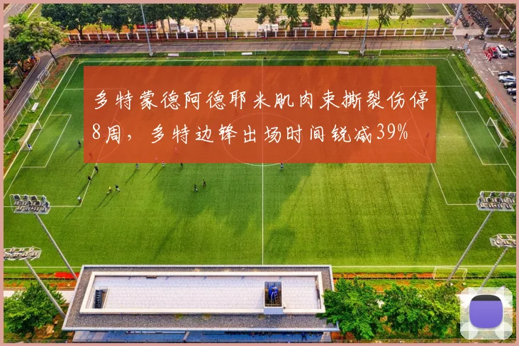 多特蒙德阿德耶米肌肉束撕裂伤停8周，多特边锋出场时间锐减39%