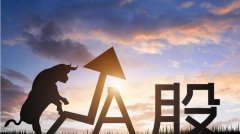 中国股市：被公司重仓的光伏企业未来发展前景